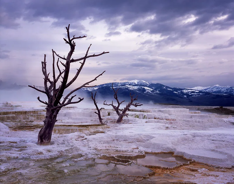 mammoth hot springs