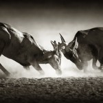 How to Harness Your Sexual Energy