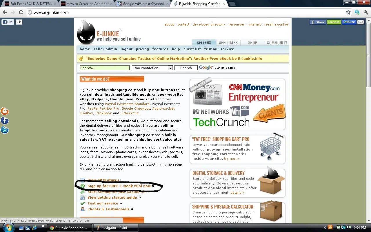 Screenshot of the E-junkie website