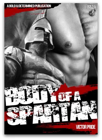 boas-cover-ds