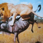 Drilling and Killing – How to Get Your Avalanche of Success