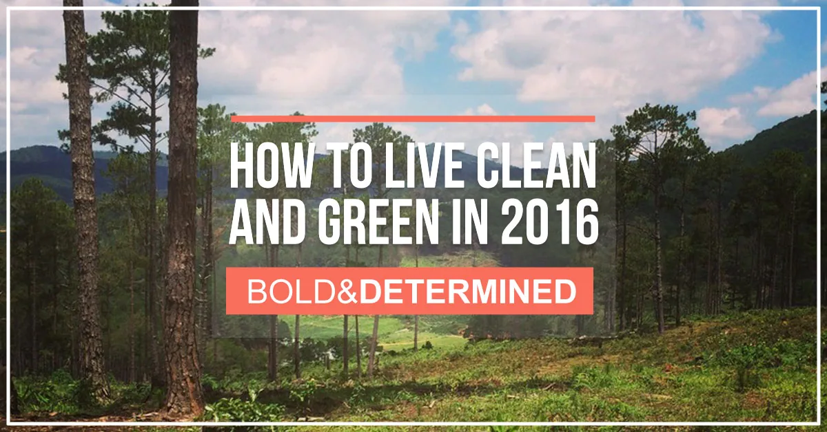 clean-and-green-post2
