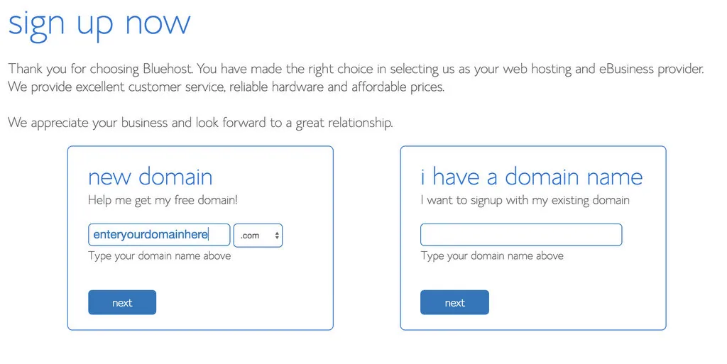 bluehost-domain-name.21 PM