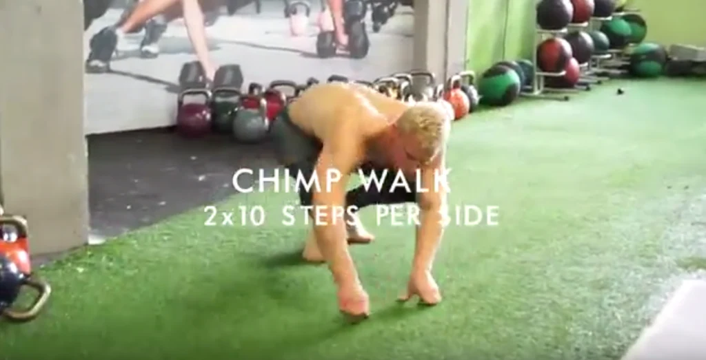 Chimp Walk