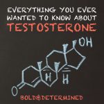 Everything you ever wanted to know about testosterone
