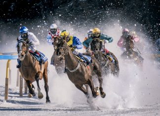 Cut Out the Bullshit