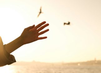 What Would You Do if You Knew You Were Going to Die in Two Years?