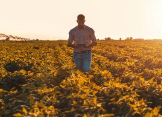 The Benefits of Doing Farmers Walks