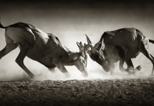 How to Harness Your Sexual Energy