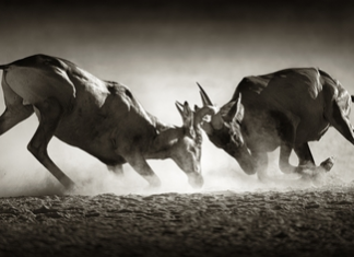 How to Harness Your Sexual Energy